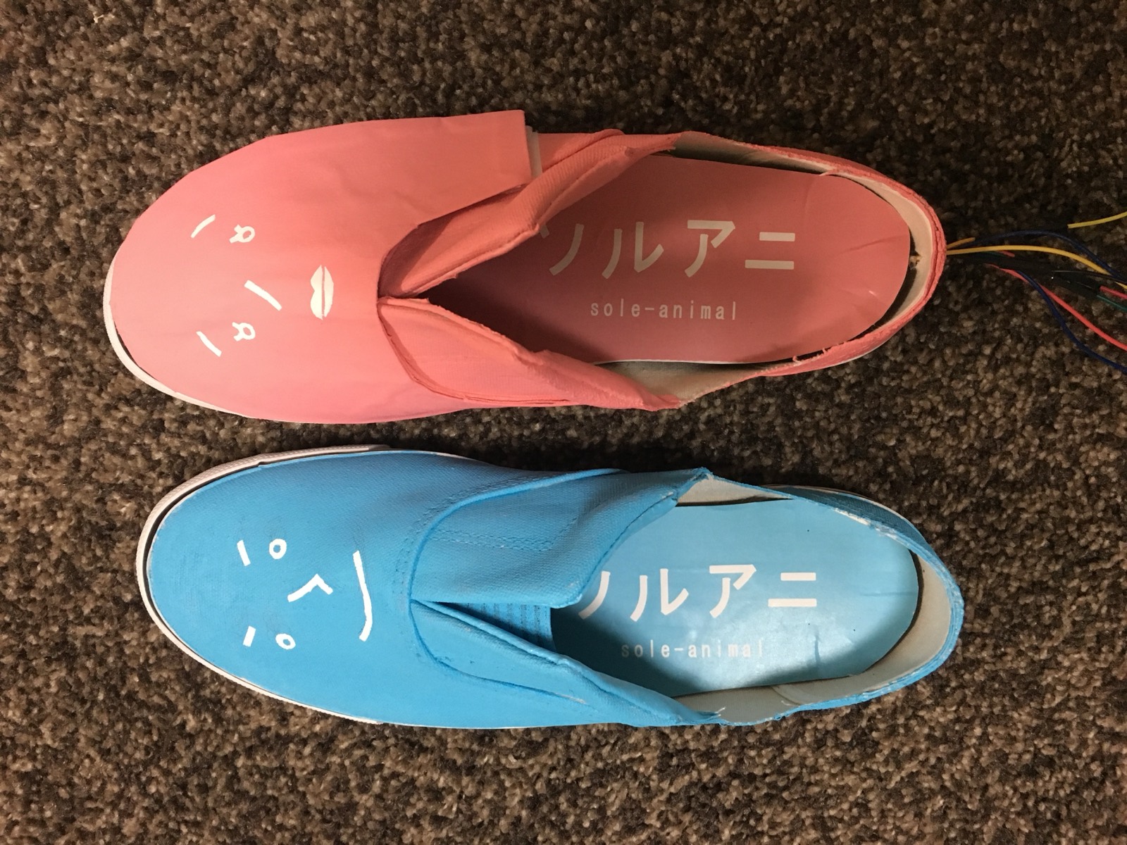 Sole Animal — detail